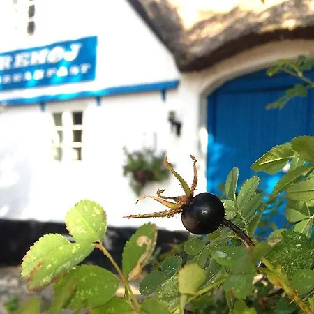 Myrehoj Bed & Breakfast Eskebjerg