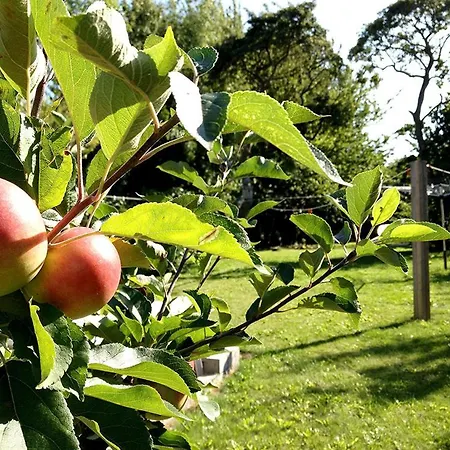 Myrehoj Отель типа 