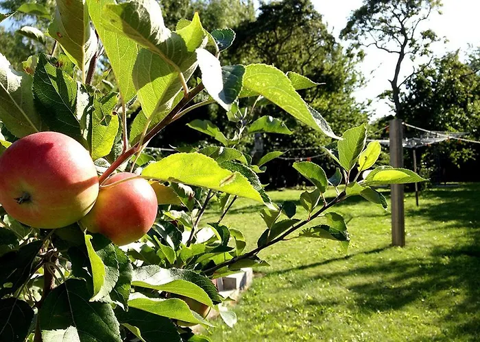 Myrehoj Bed & Breakfast